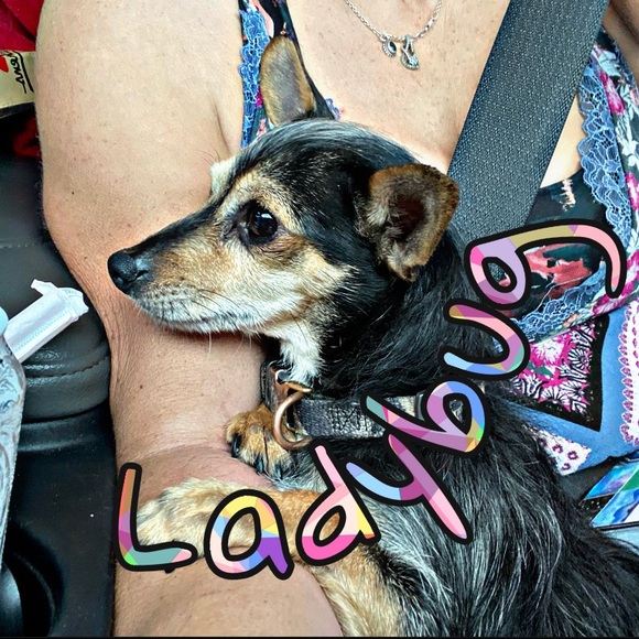 TippyToe’s Treasures!!! - Picture 8 of 16